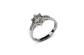 Round Cut Moissanite Engagement Ring with Accent Stones